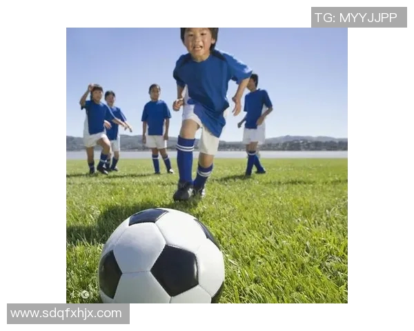 荷兰足球教练的战术智慧与培养年轻球员的成功之道